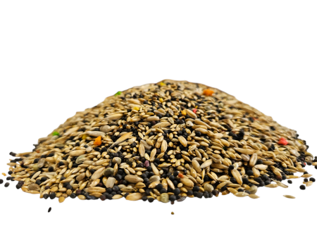 Karma dla kanarków i ptaków śpiewających 10 kg