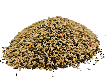 Karma dla kanarków i ptaków śpiewających 10 kg