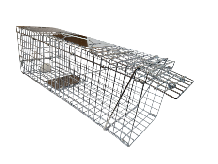 Żywołapka humanitarna z tacą 78 cm