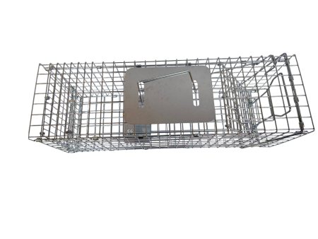 Żywołapka humanitarna z tacą 78 cm