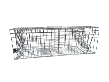 Żywołapka humanitarna z tacą 78 cm