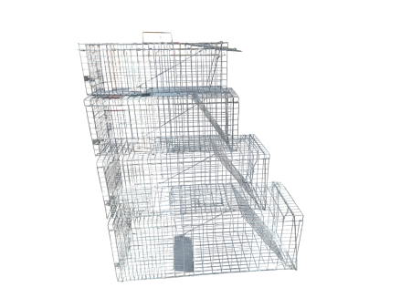 Żywołapka humanitarna z tacą 78 cm