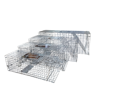 Żywołapka humanitarna z tacą 78 cm