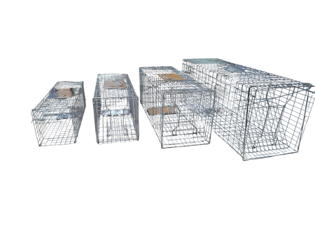 Żywołapka humanitarna z tacą 78 cm