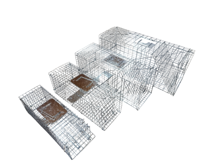 Żywołapka humanitarna z tacą 78 cm