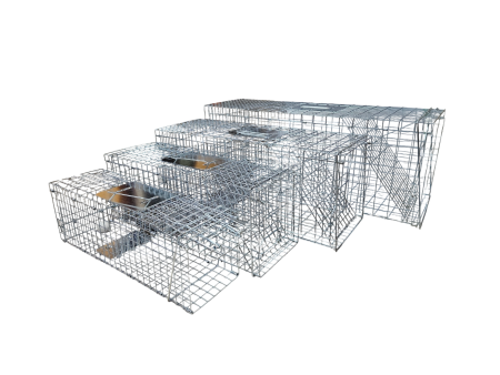 Żywołapka humanitarna z tacą 78 cm