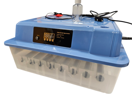 Inkubator automatyczny wylęgarka do jaj  36 JAJ 50 W