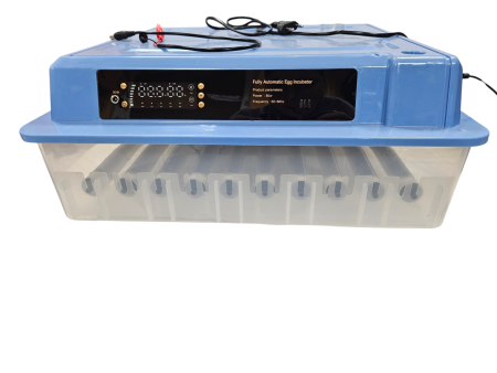 Inkubator automatyczny wylęgarka do jaj  64 JAJa 80 W