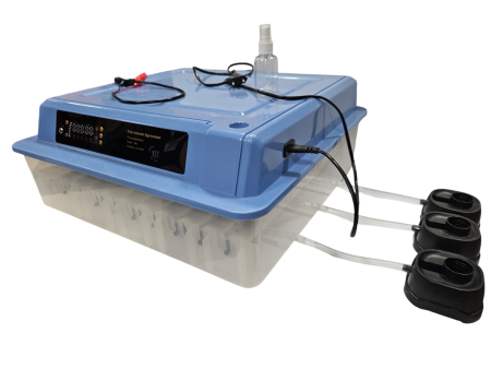 Inkubator automatyczny wylęgarka do jaj  64 JAJa 80 W