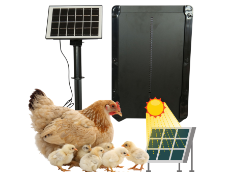 Drzwi do kurnika automatyczne solarne z timerem i czujnikiem zmierzchu