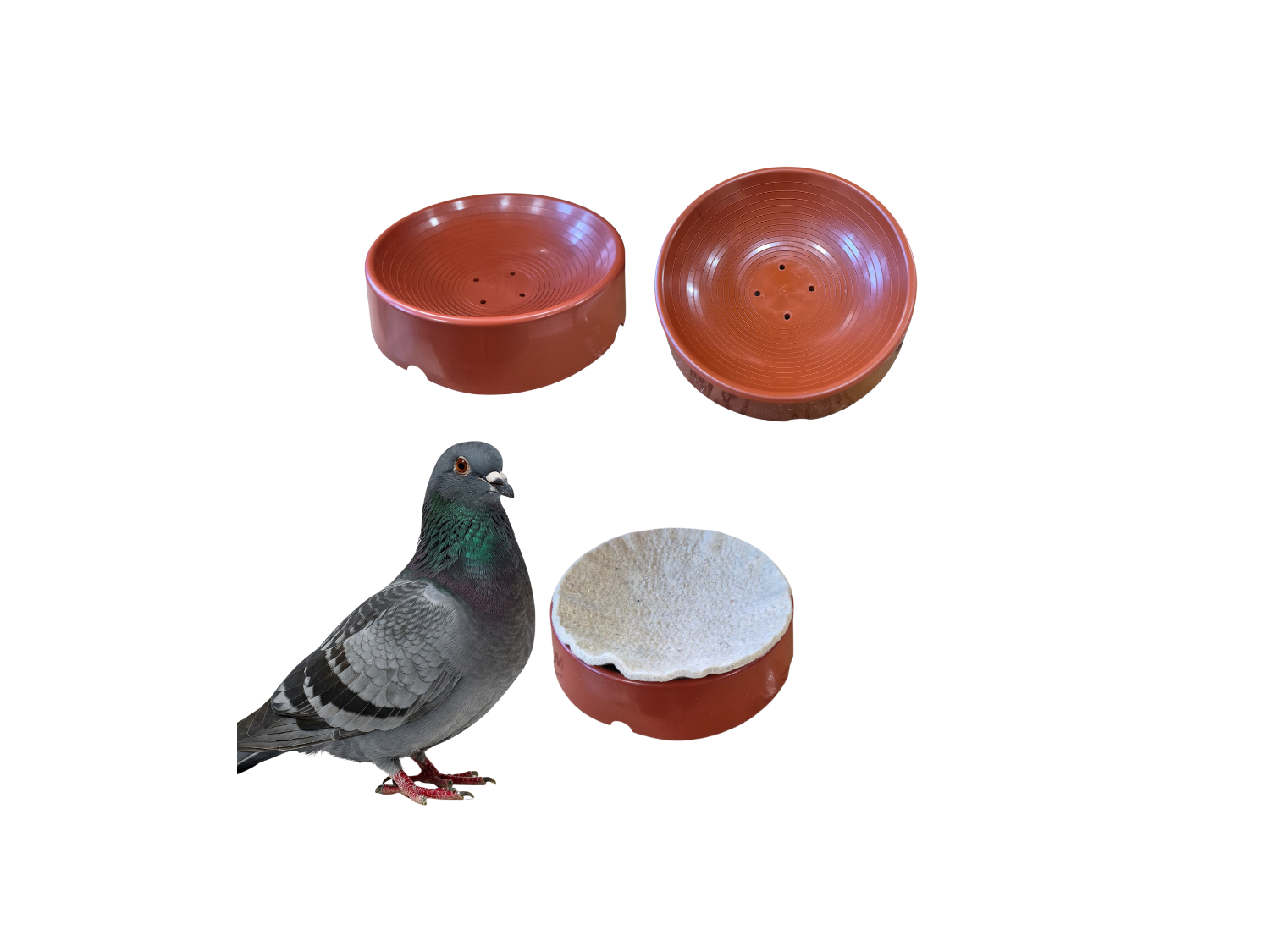 MISKA LĘGOWA PLASTIKOWA DLA GOŁĘBI 23 CM DUŻA CIEŻKA