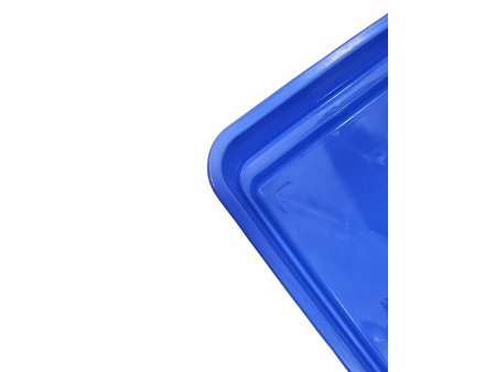 WANNA KĄPIELOWA DLA GOŁĘBI, KACZEK, GĘSI NIEBIESKA 60X40X10 CM KUWETA