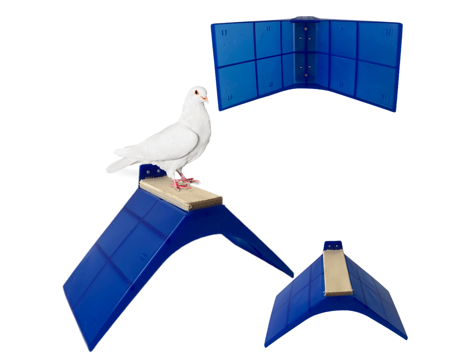 Siodełko spoczynkowe dla gołębi