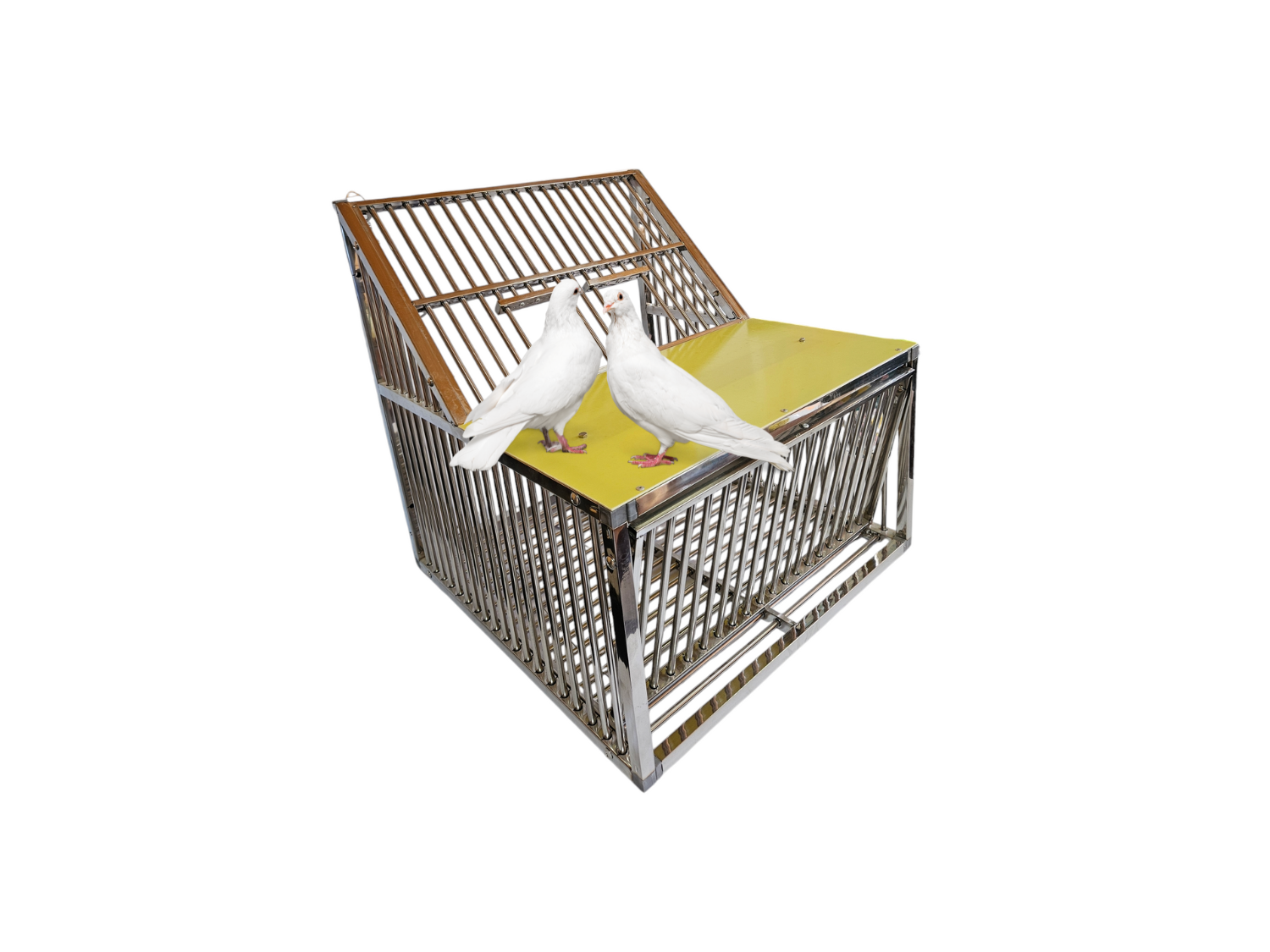 Wlot belgijski dla gołębi ze stali nierdzewnej SOLID 60