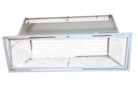 Wlot belgijski dla gołębi ze stali malowanej 100