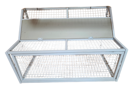 Wlot belgijski dla gołębi ze stali malowanej 100