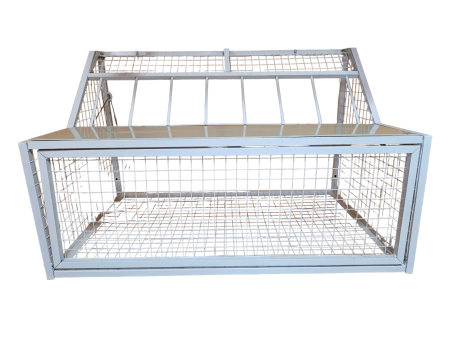 Wlot belgijski dla gołębi ze stali malowanej 100