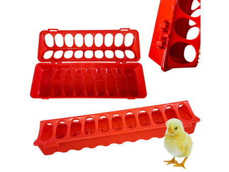 Karmnik korytko dla gołębi i małego drobiu 30 cm